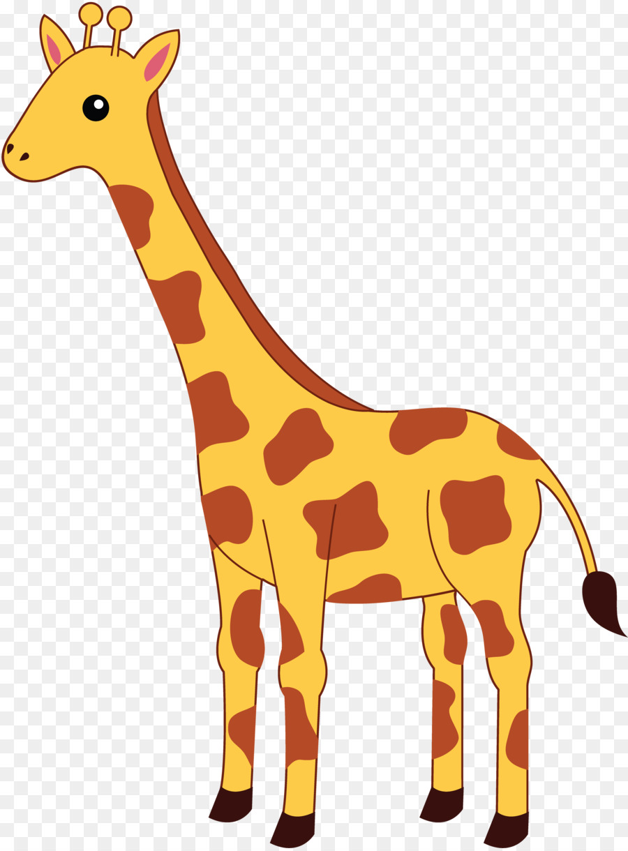 Girafe，Bébé Girafes PNG