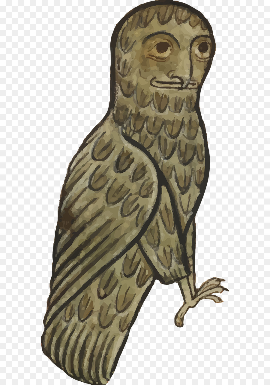 Hibou Médiéval，Oiseau PNG