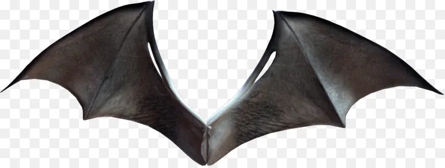 Ailes De Chauve Souris，Noir PNG