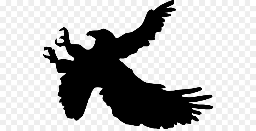 Aigle Silhouette，Faucon PNG