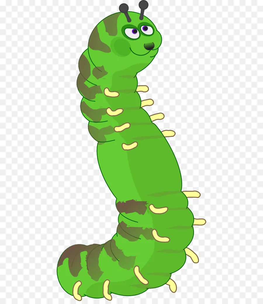 Chenille，Insecte PNG