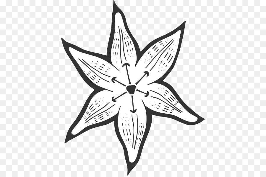 Favicon，Lilium PNG