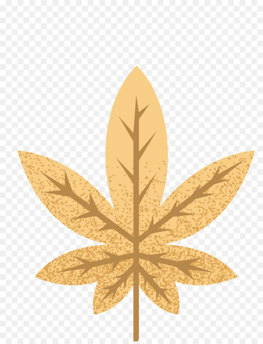 Feuille，Automne PNG