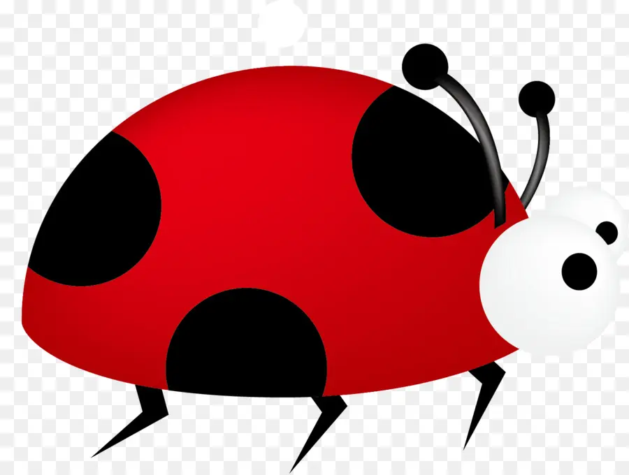 Coccinelle，Bible PNG