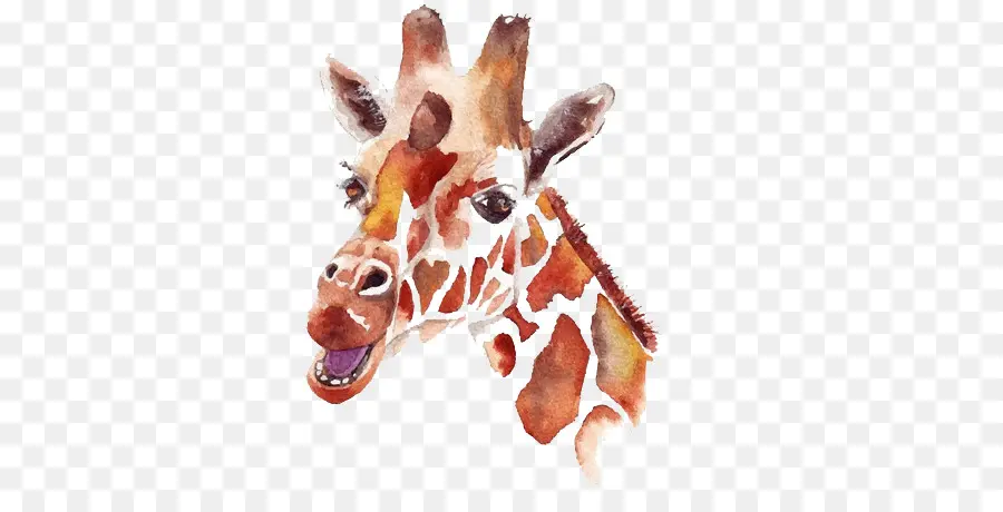 Aquarelle Girafe，Animal PNG