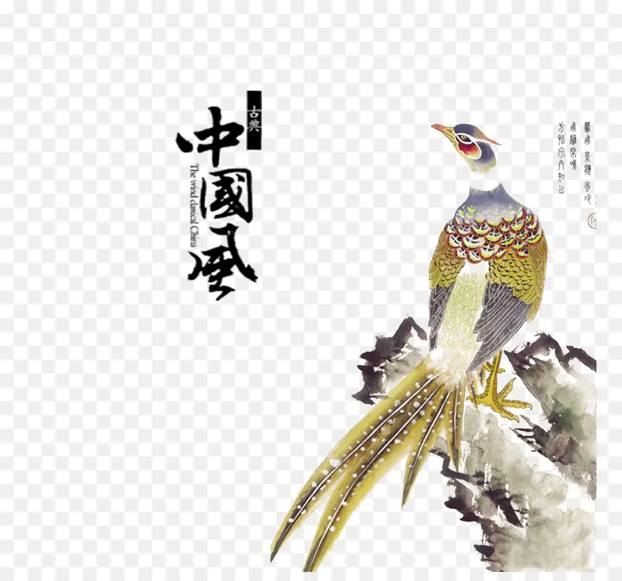 Peinture D'oiseau Chinois，Traditionnel PNG