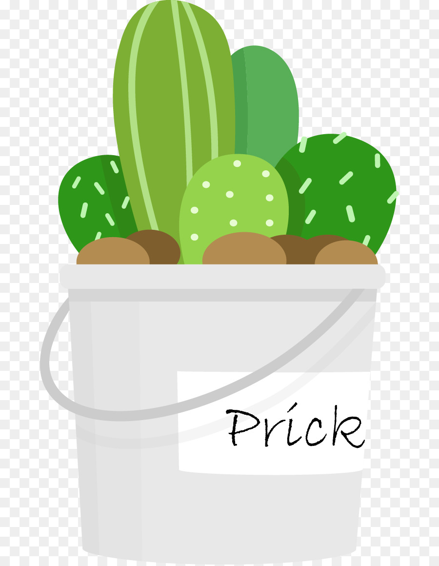 Cactus En Pot，Succulent PNG