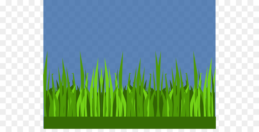 Herbe Verte，Pelouse PNG