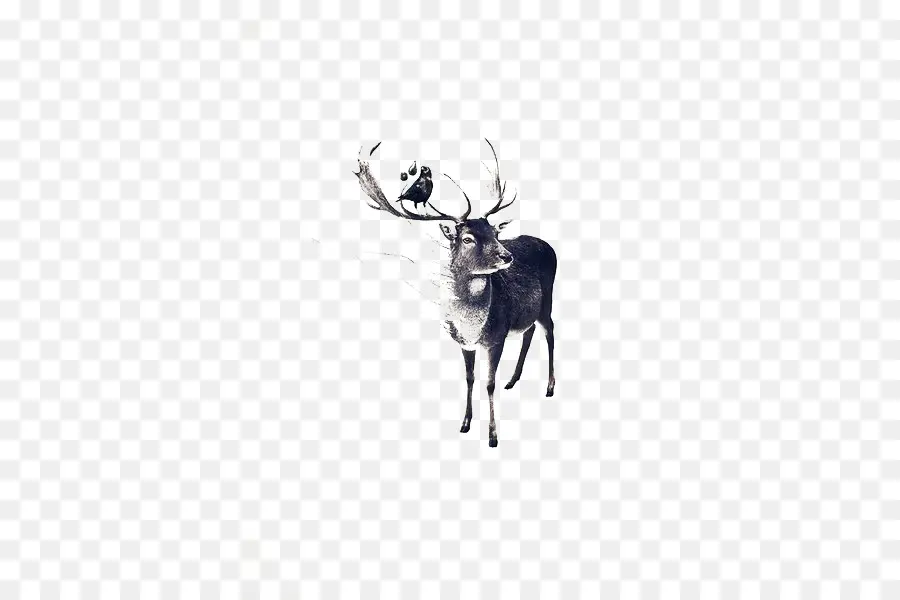 Cerf Avec Oiseau，Bois PNG