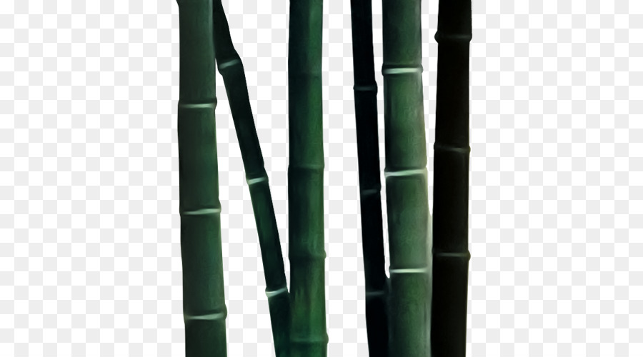 Bambou，Bambusa Oldhamii Largement PNG