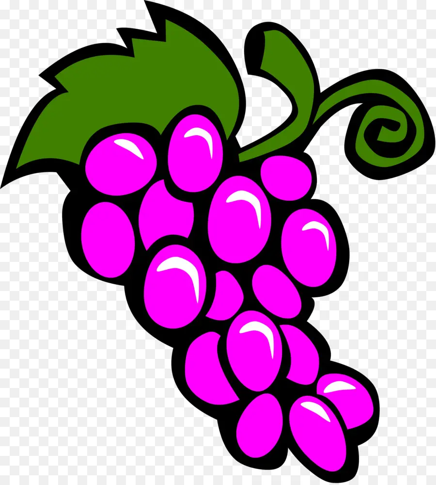 Raisins，Vigne PNG