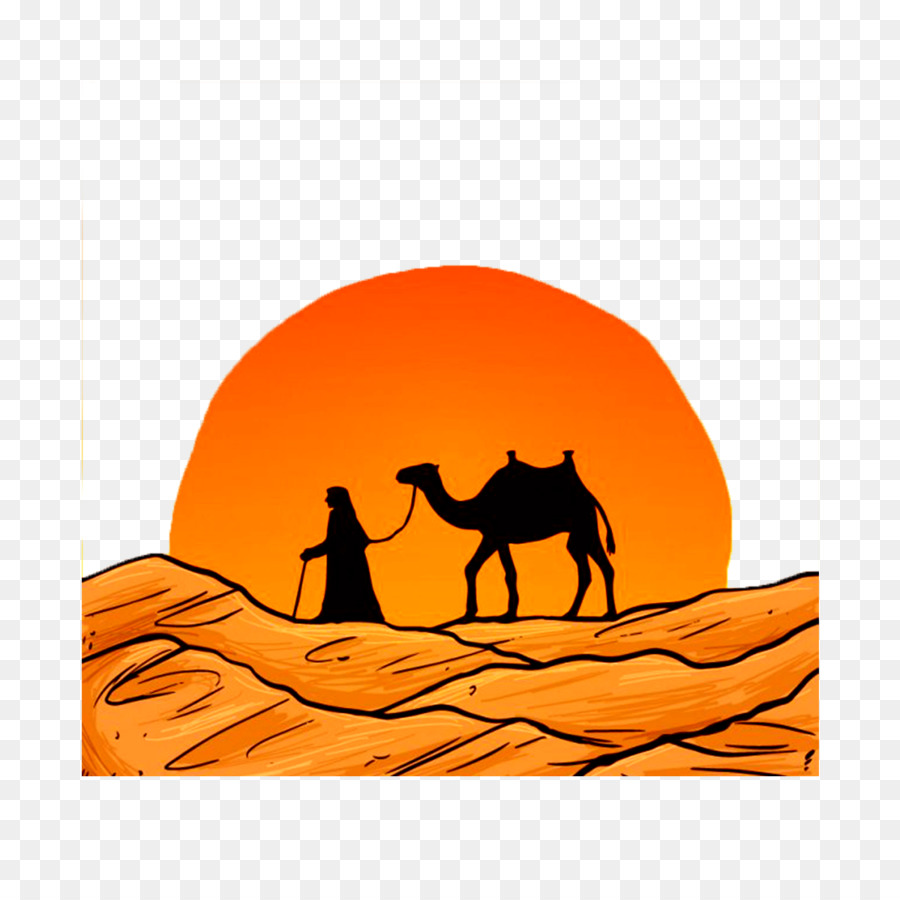 Chameau Desert Dessin Png Chameau Desert Dessin Transparentes Png Gratuit