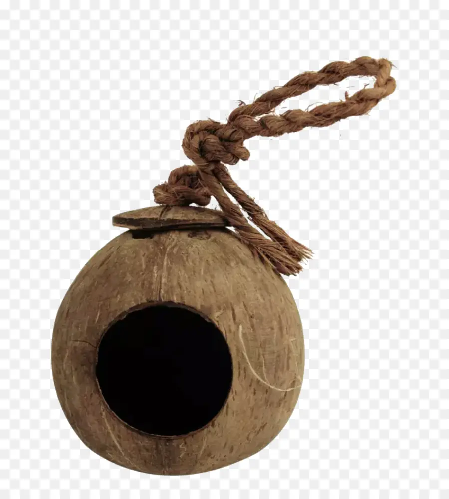 Nichoir à Noix De Coco，Noix De Coco PNG