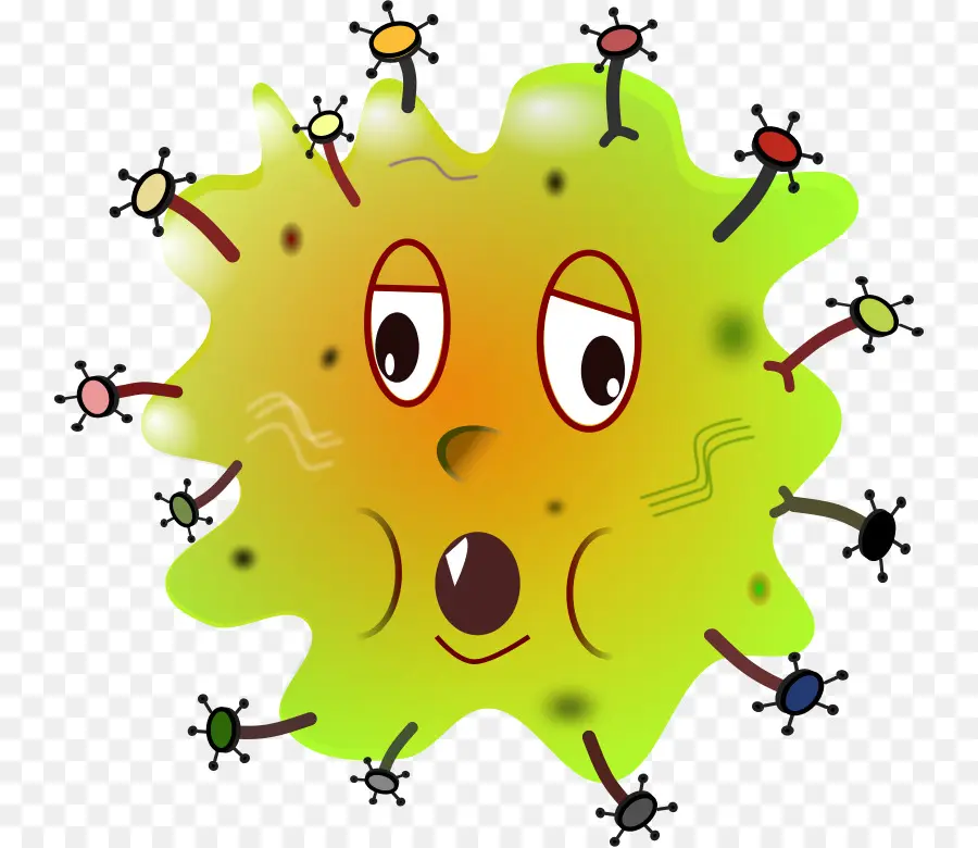 Les Bactéries，Théorie Des Germes De La Maladie PNG