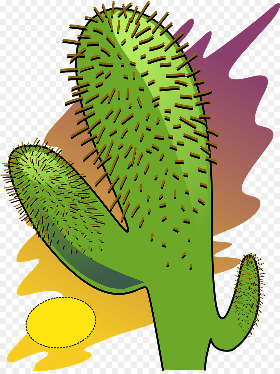 Cactus，Vert PNG