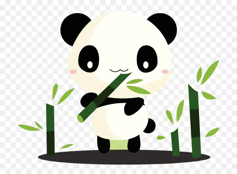 Panda，Bambou PNG