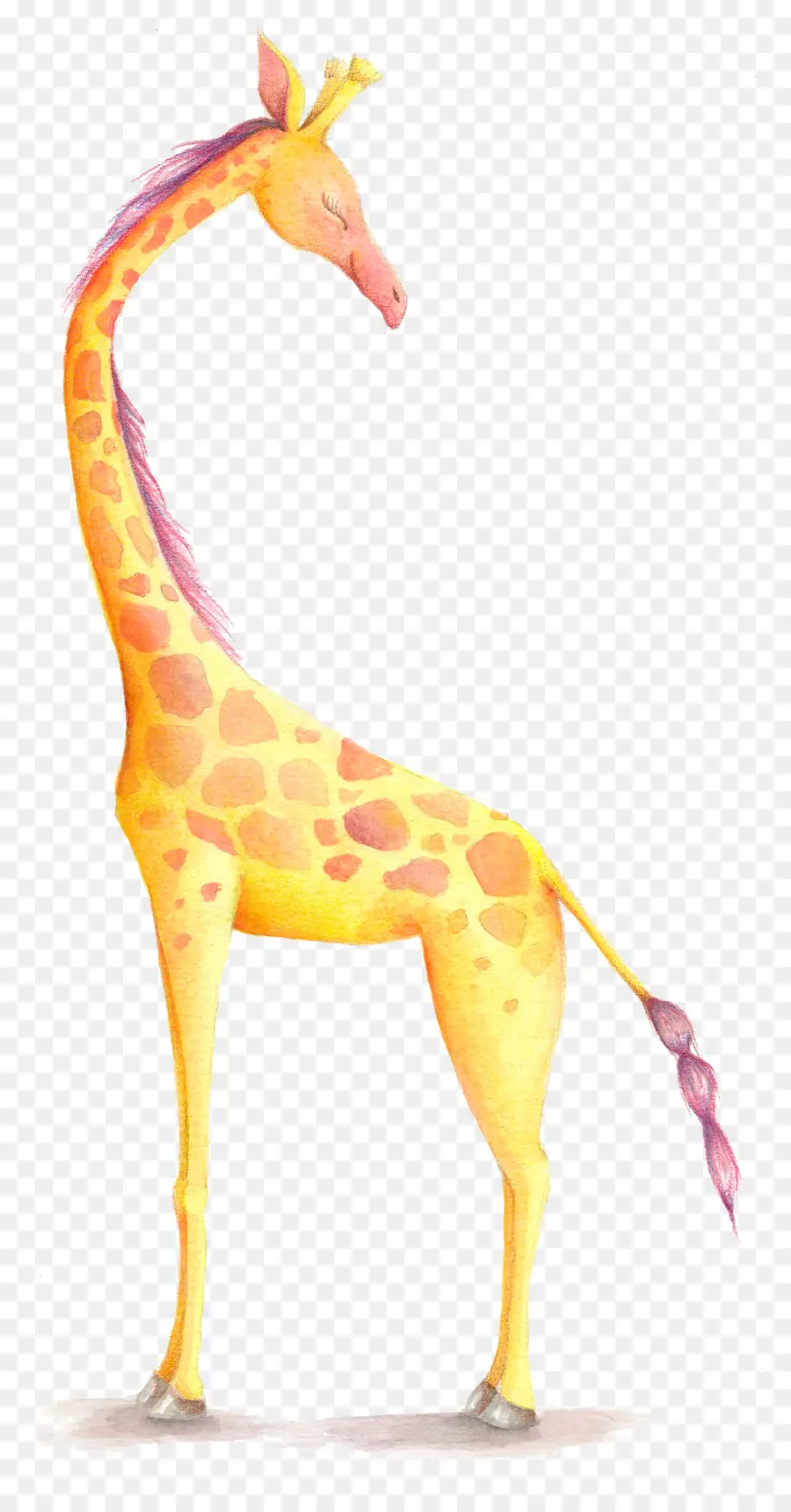 Girafe，Invitation De Mariage PNG