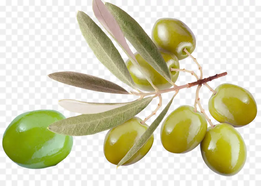 Olives Vertes，Bifurquer PNG