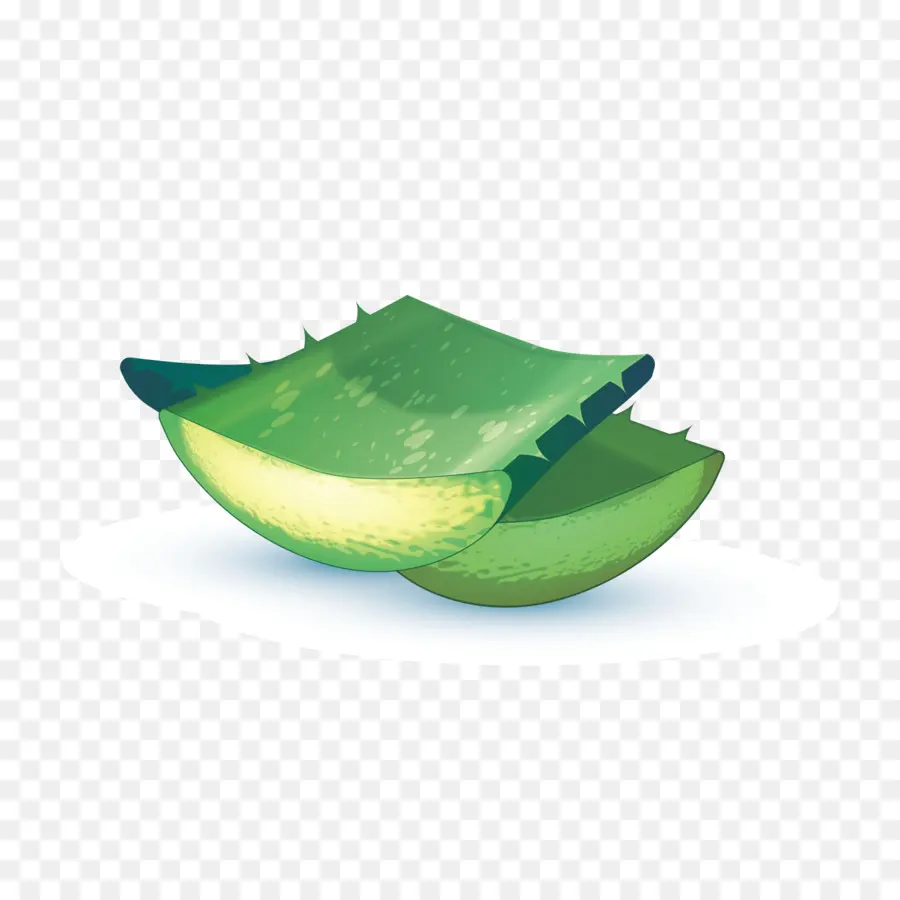 L Aloe Vera，Oeuvres PNG