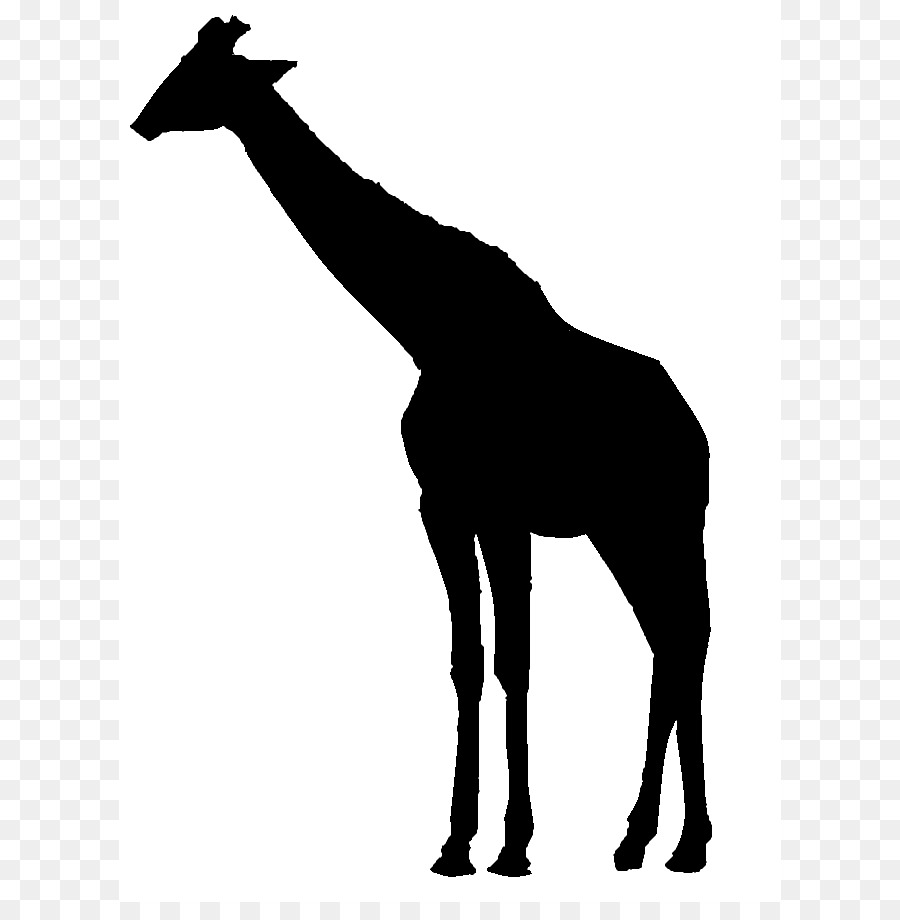 Silhouette De Girafe，Grand PNG