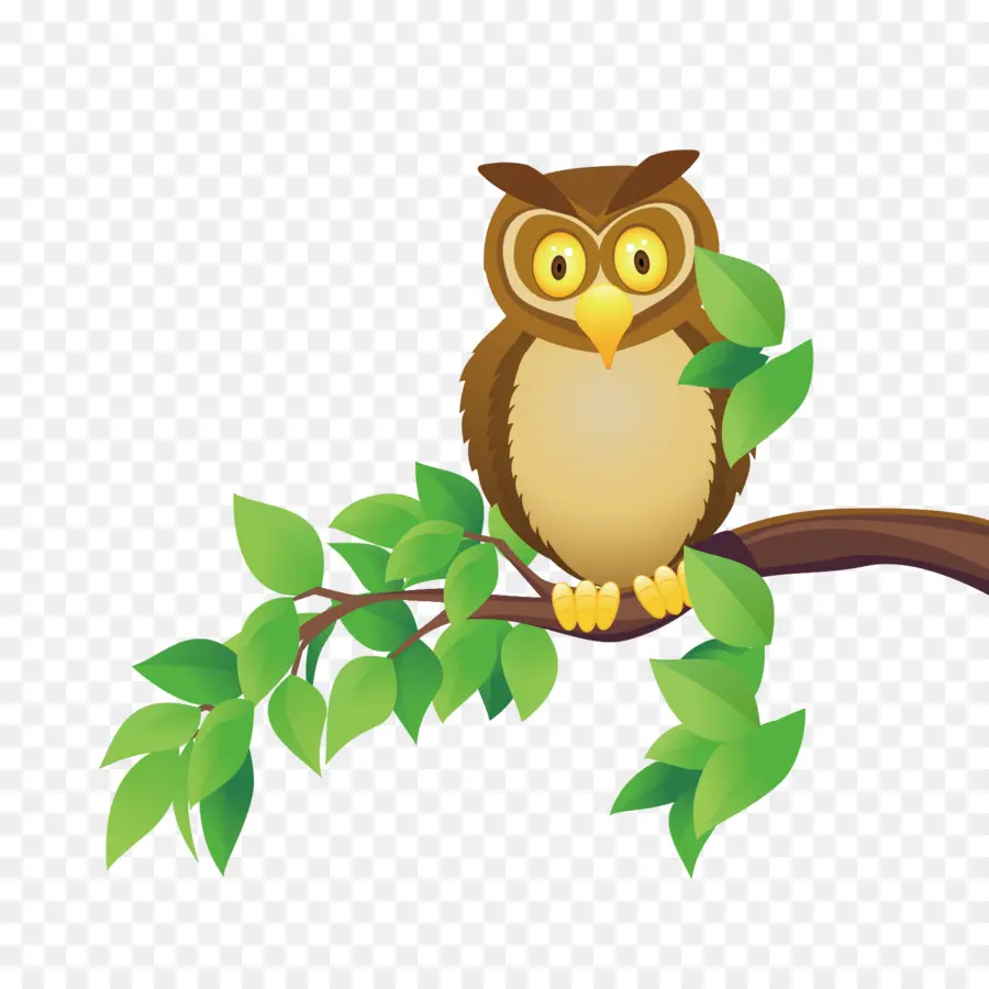 Hibou，Dessin Animé PNG