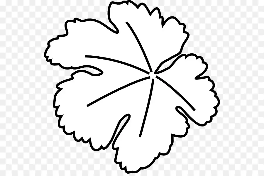 Contour De La Feuille，Feuille PNG