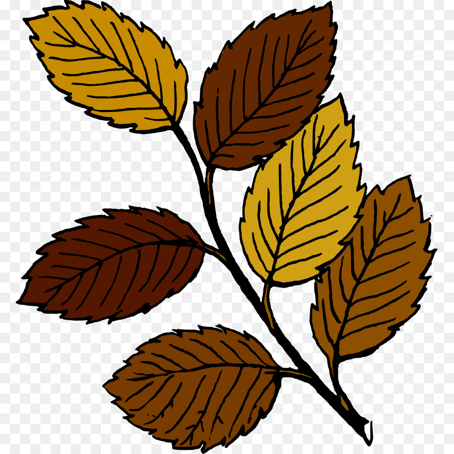 Feuilles Brunes，Automne PNG