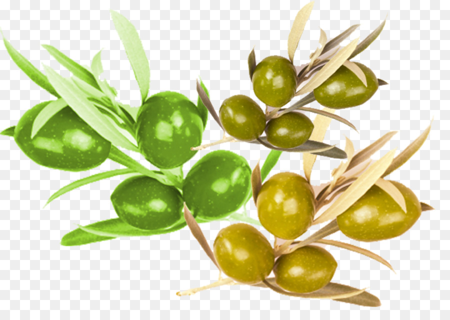 Olive，La Nourriture PNG