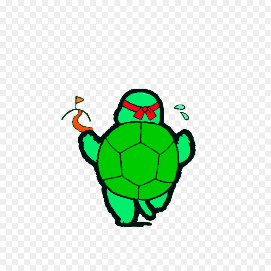 Tortue，Des Graphismes Raster PNG