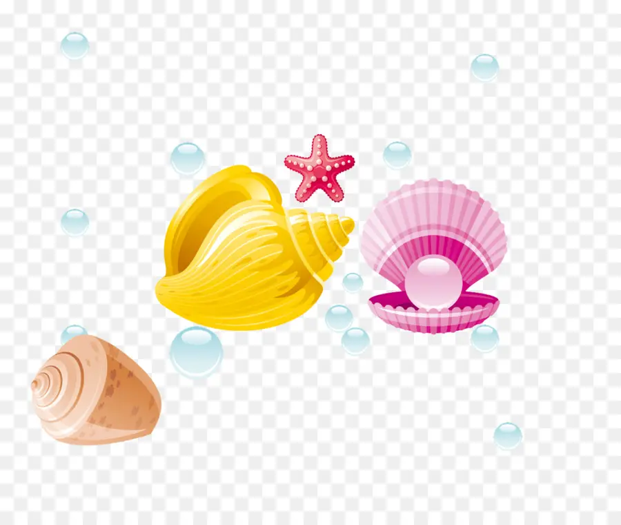 Perle，Coquille PNG