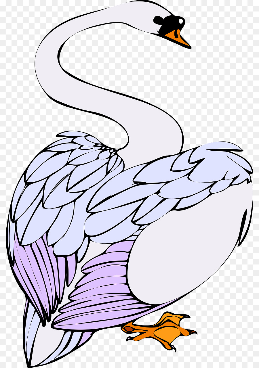 Cygne，Blanc PNG