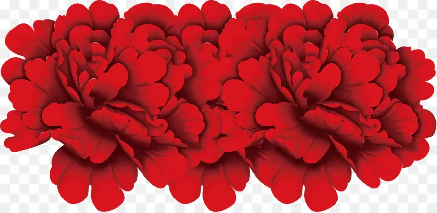 Fleurs Rouges，Fleurs PNG