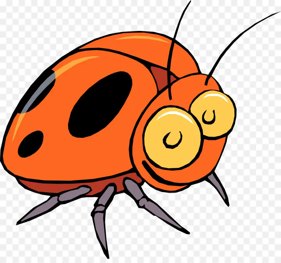 Coccinelle，Rouge PNG