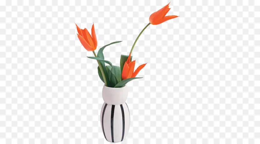 Tulipes，Vase PNG