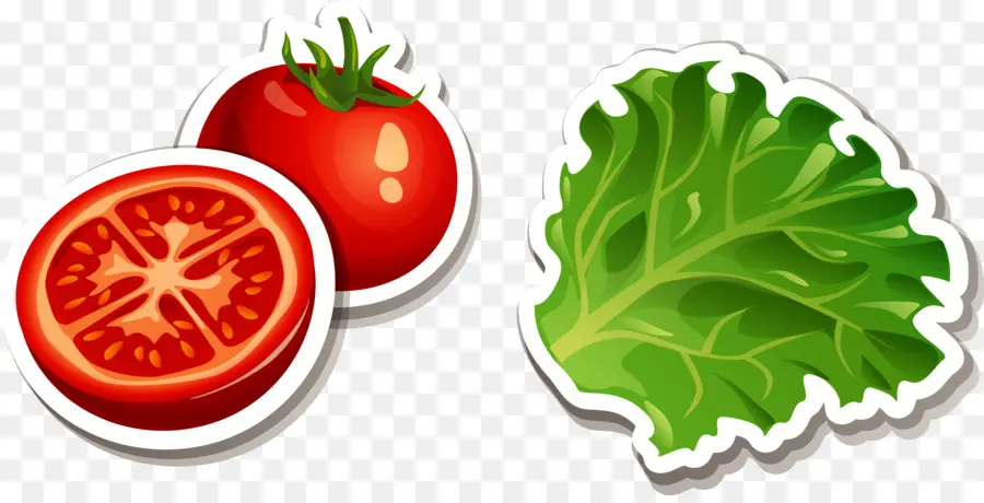 Tomate Et Laitue，Salade PNG