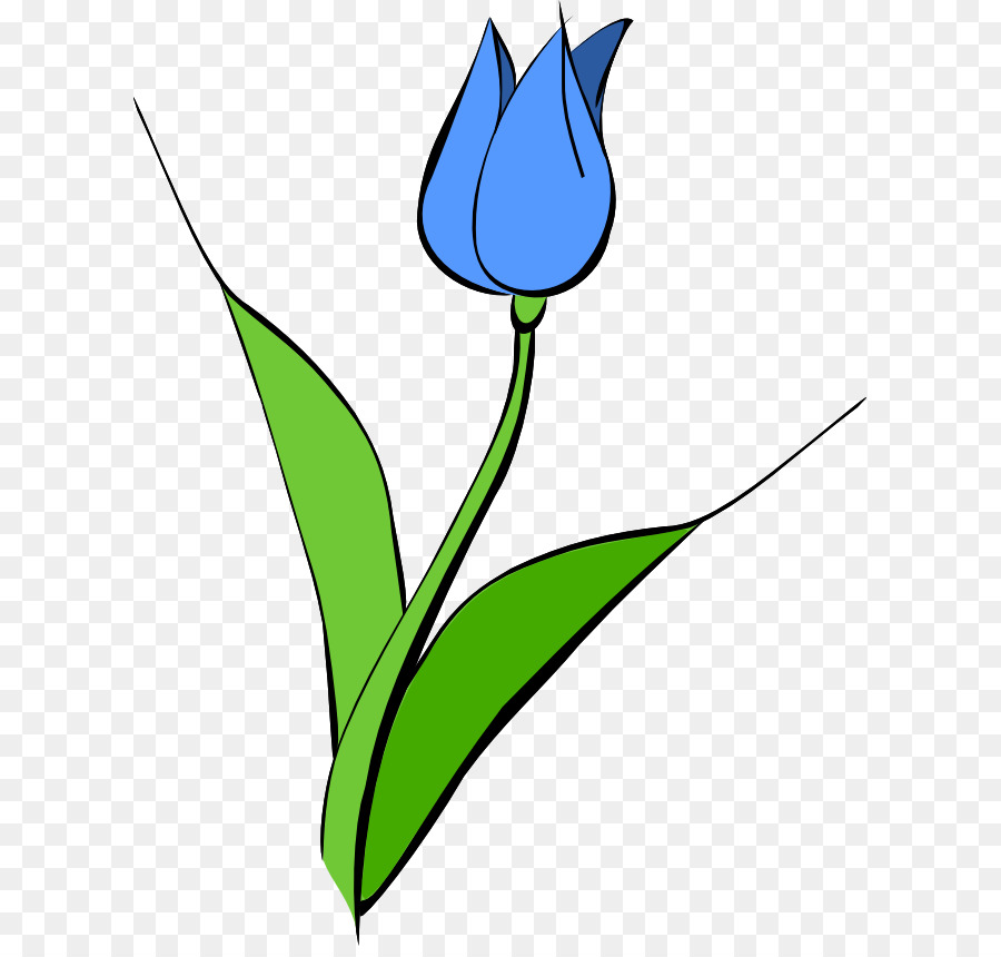 Contour De Tulipe，Simple PNG