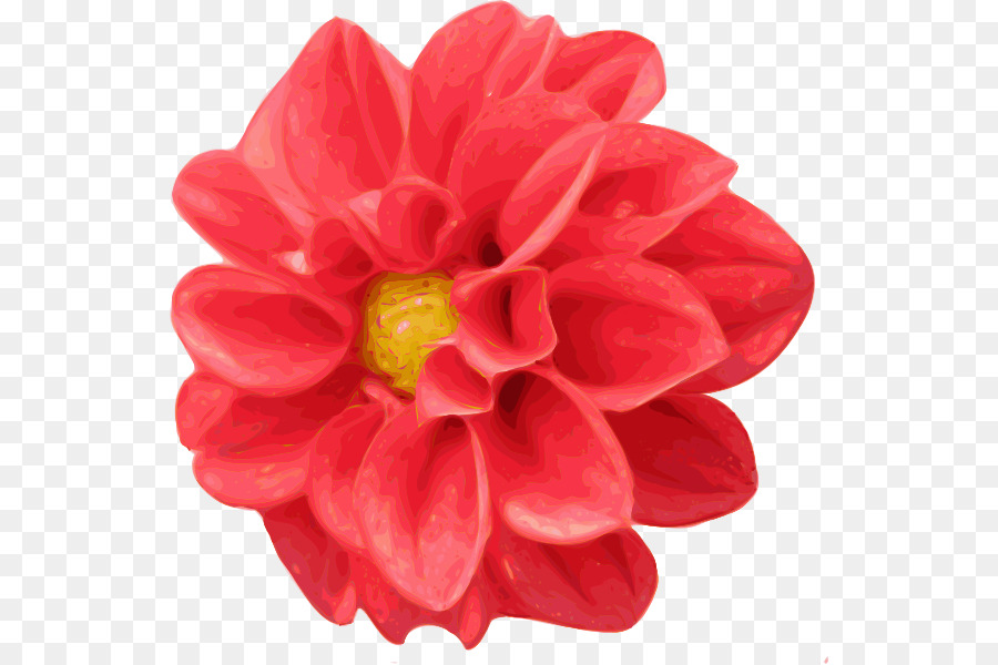 Fleur，Rouge PNG