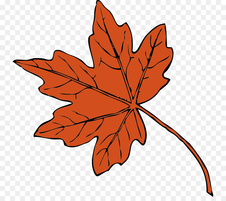 Feuille Rouge，Nature PNG