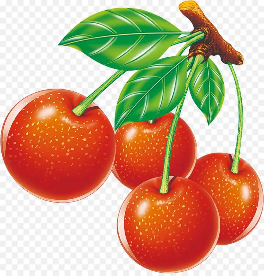 Cerises，Rouge PNG