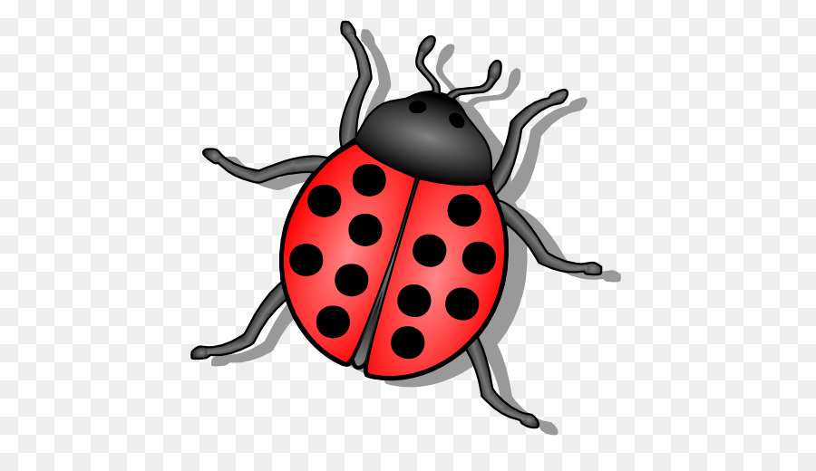 Coccinelle，Bogue PNG