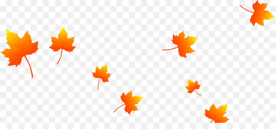 Feuilles D'or，Automne PNG