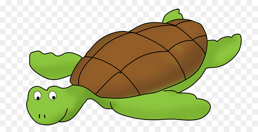 Tortue，Tortue De Mer PNG