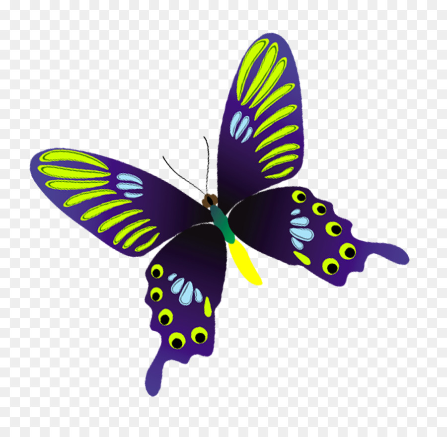 Papillon Coloré，Ailes PNG