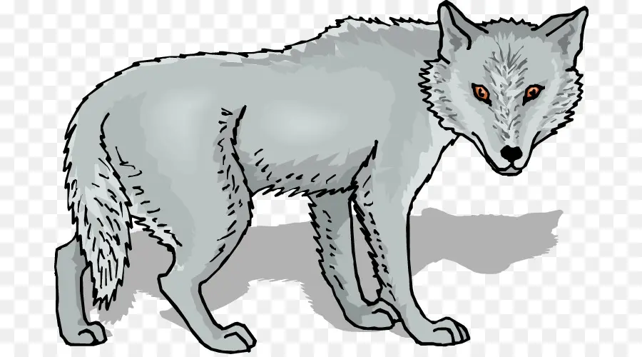 Loup Gris，Contenu Gratuit PNG