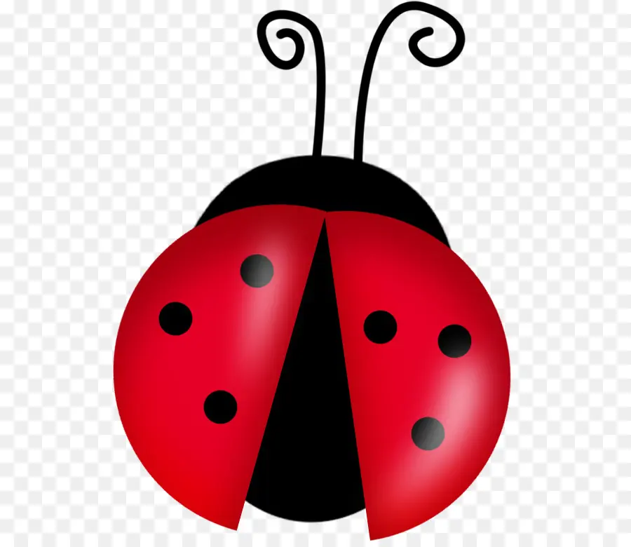 Coccinelle，Insecte PNG