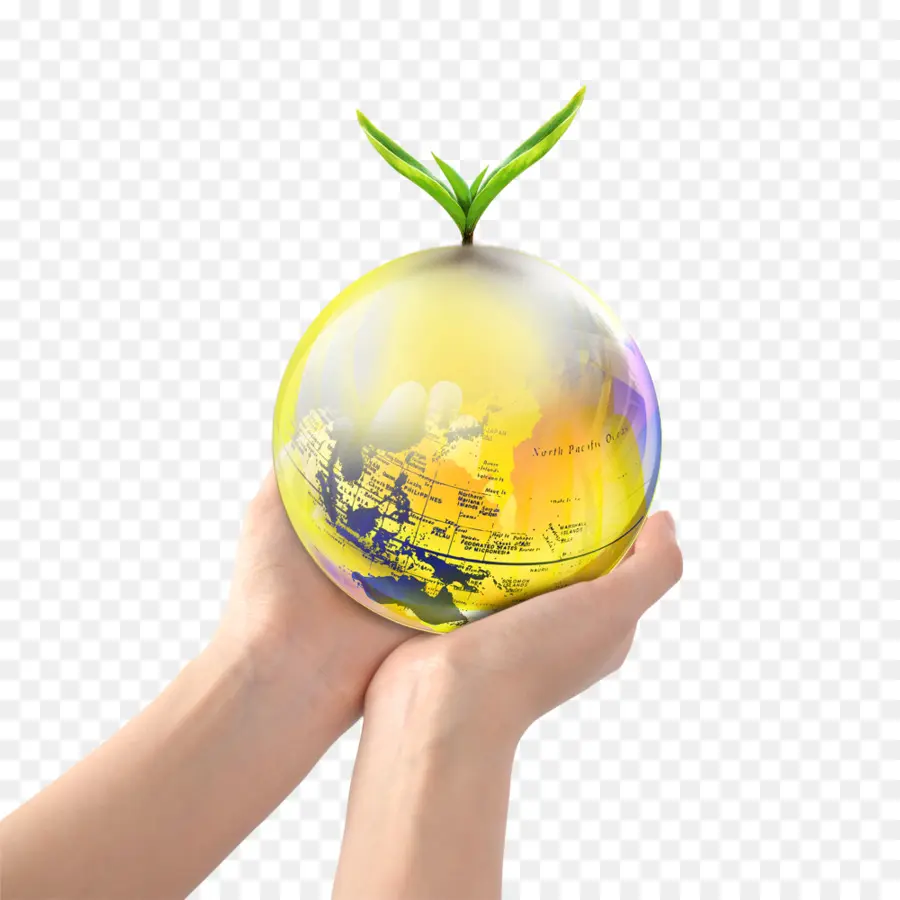 Globe，Mains PNG