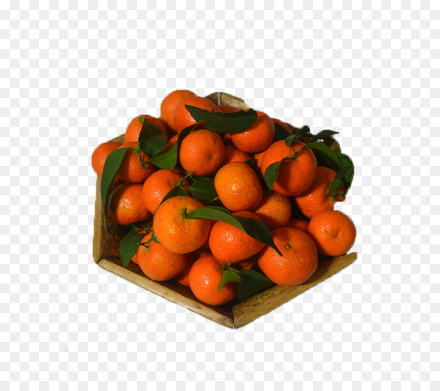 Clémentine，Le Mandarin Orange PNG