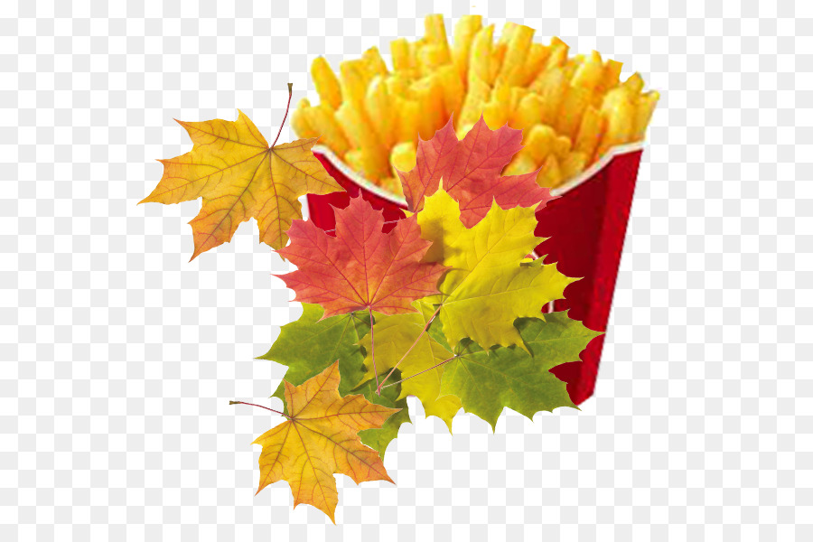 Hamburger，Frites PNG