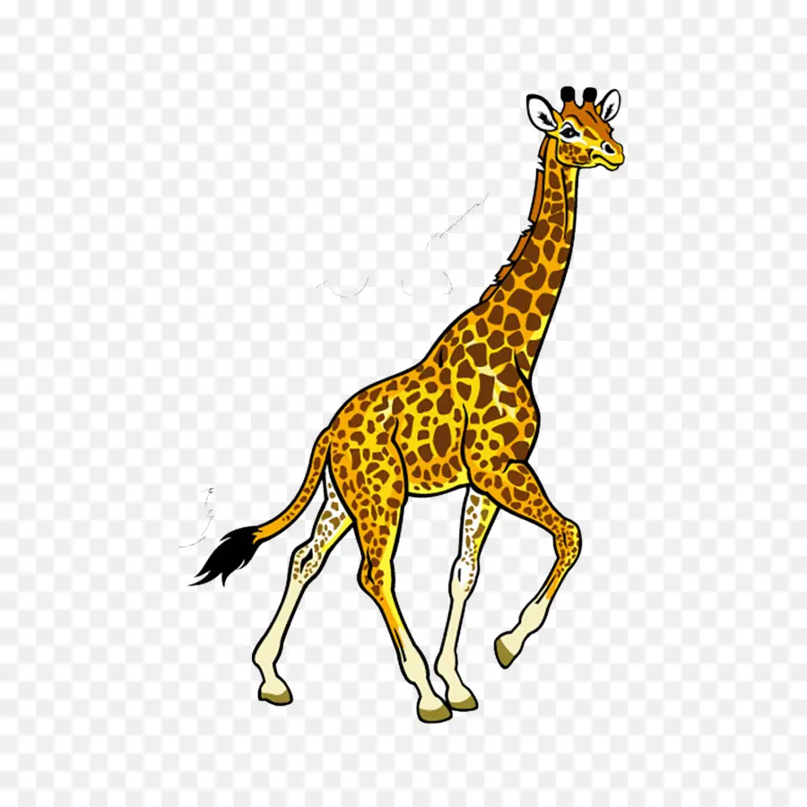 Girafe，Dessin Animé PNG