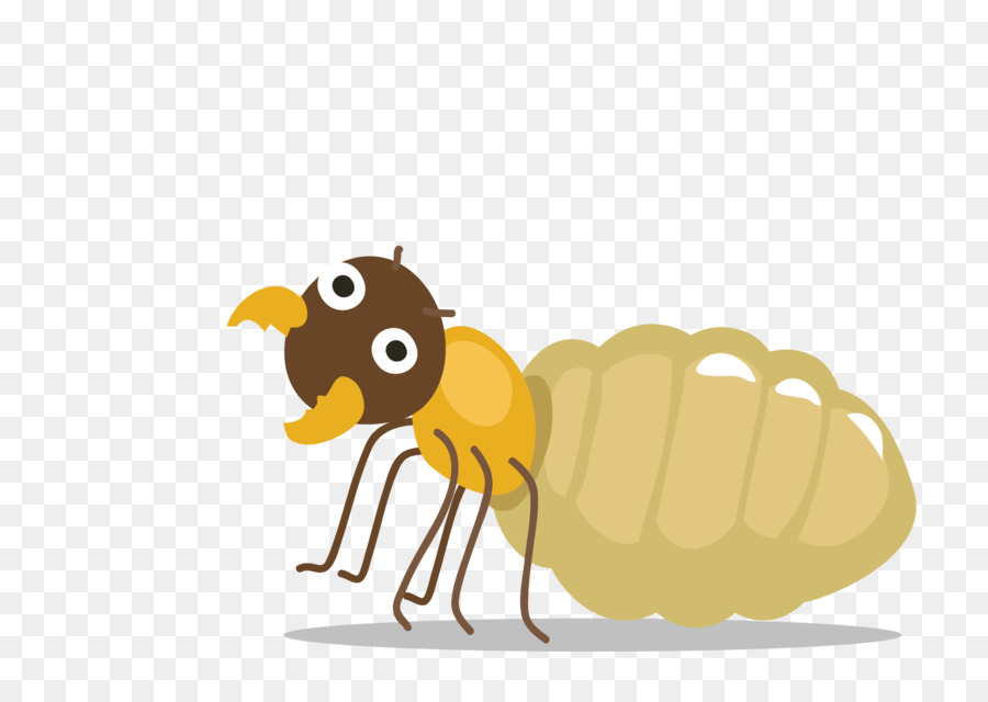 Insecte，Bogue PNG